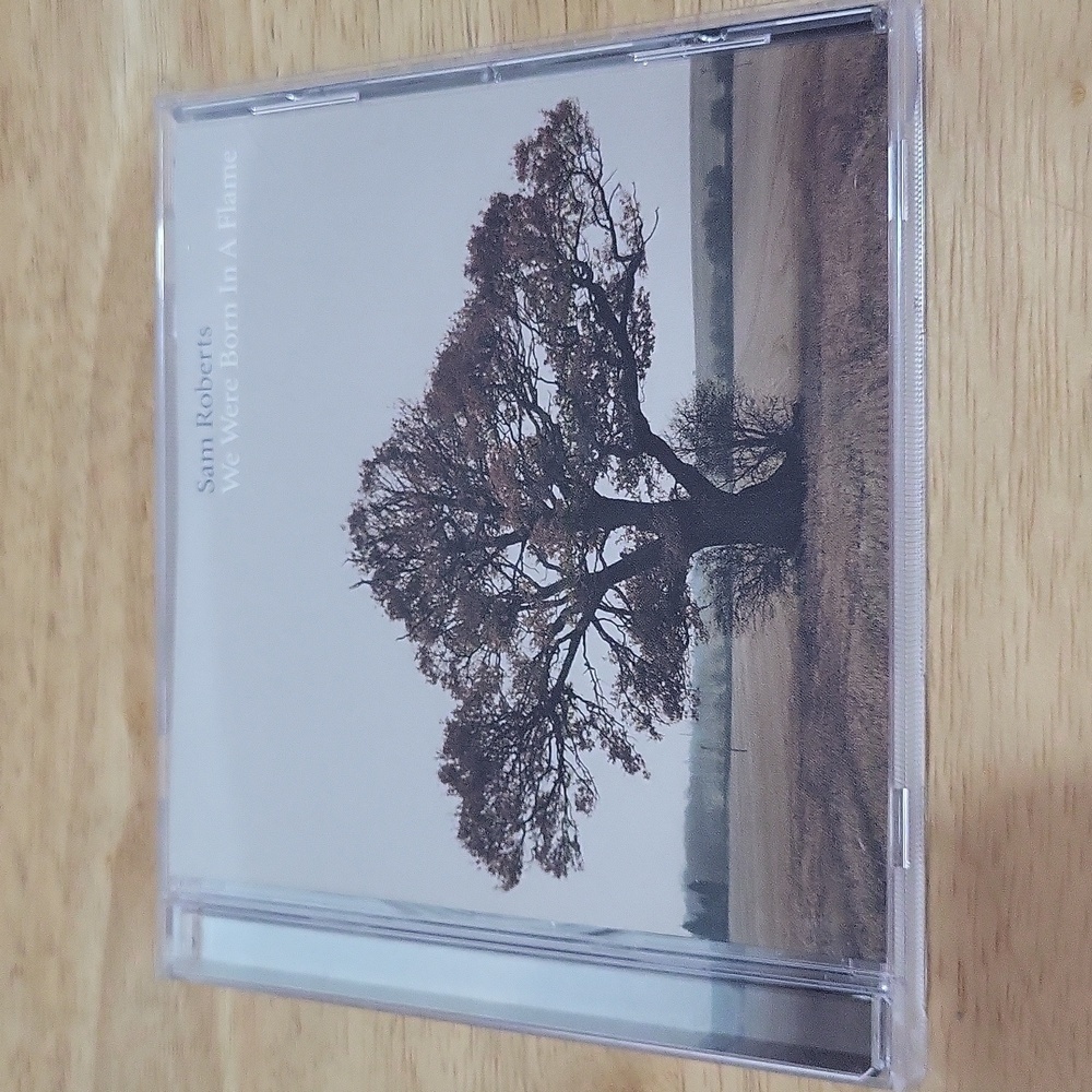 Sam Roberts We Were Born In  A Flame
